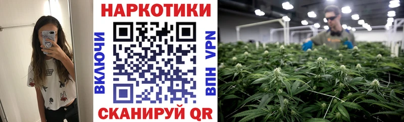 Купить закладку Марихуана  Кокаин  Амфетамин  APVP  Галлюциногенные грибы  ГАШИШ  МЕФ  Волхов