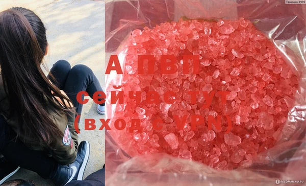 apvp Алексин