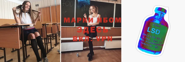 apvp Алексин