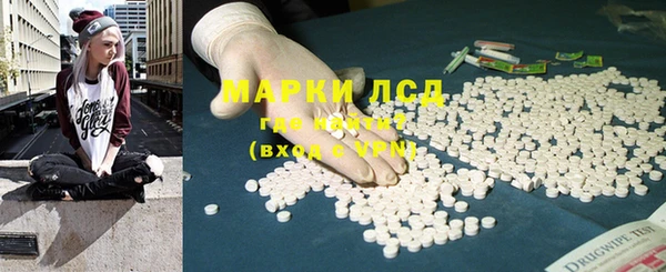apvp Алексин