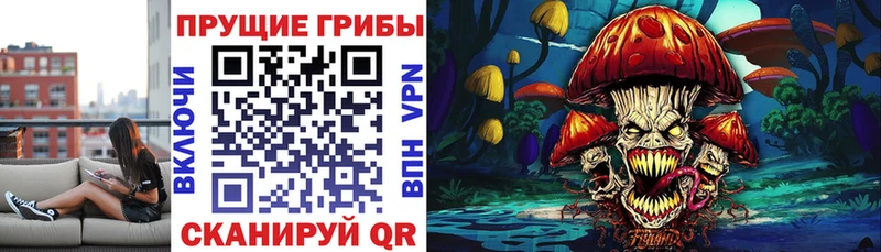 Псилоцибиновые грибы мицелий  Купить закладки  Волхов 