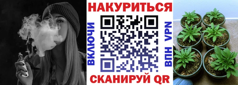 Купить где  Волхов  МАРИХУАНА план 